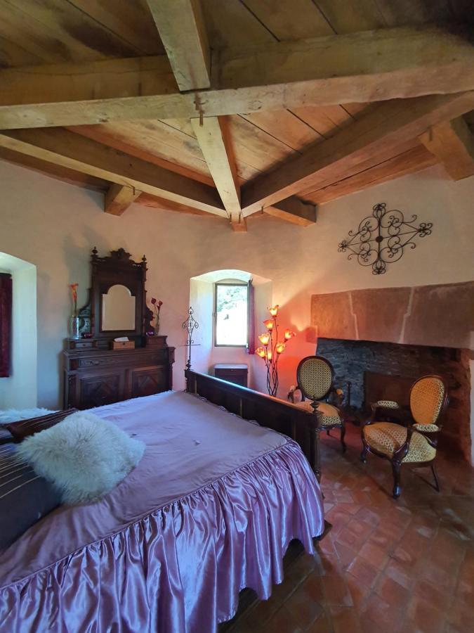 Chambre D'Hotes Au Chateau De Belcastel Belcastel  Eksteriør bilde
