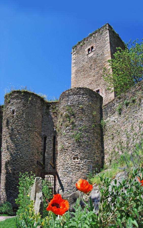 Chambre D'Hotes Au Chateau De Belcastel Belcastel  Eksteriør bilde