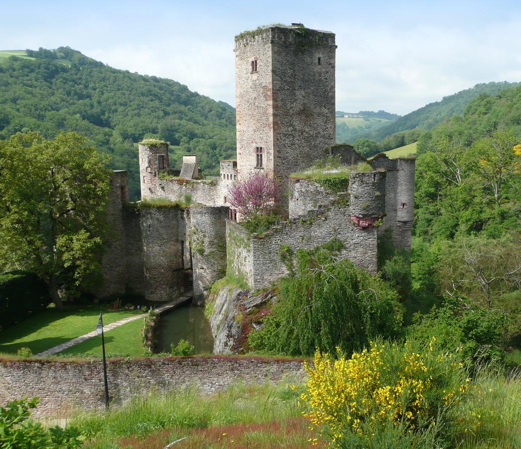 Chambre D'Hotes Au Chateau De Belcastel Belcastel  Eksteriør bilde